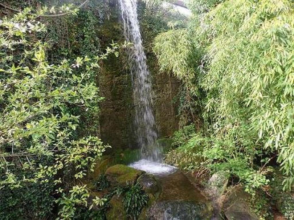 149 BIO PARC DE DOUE LA FONTAINE 1- 2016_000062.jpg